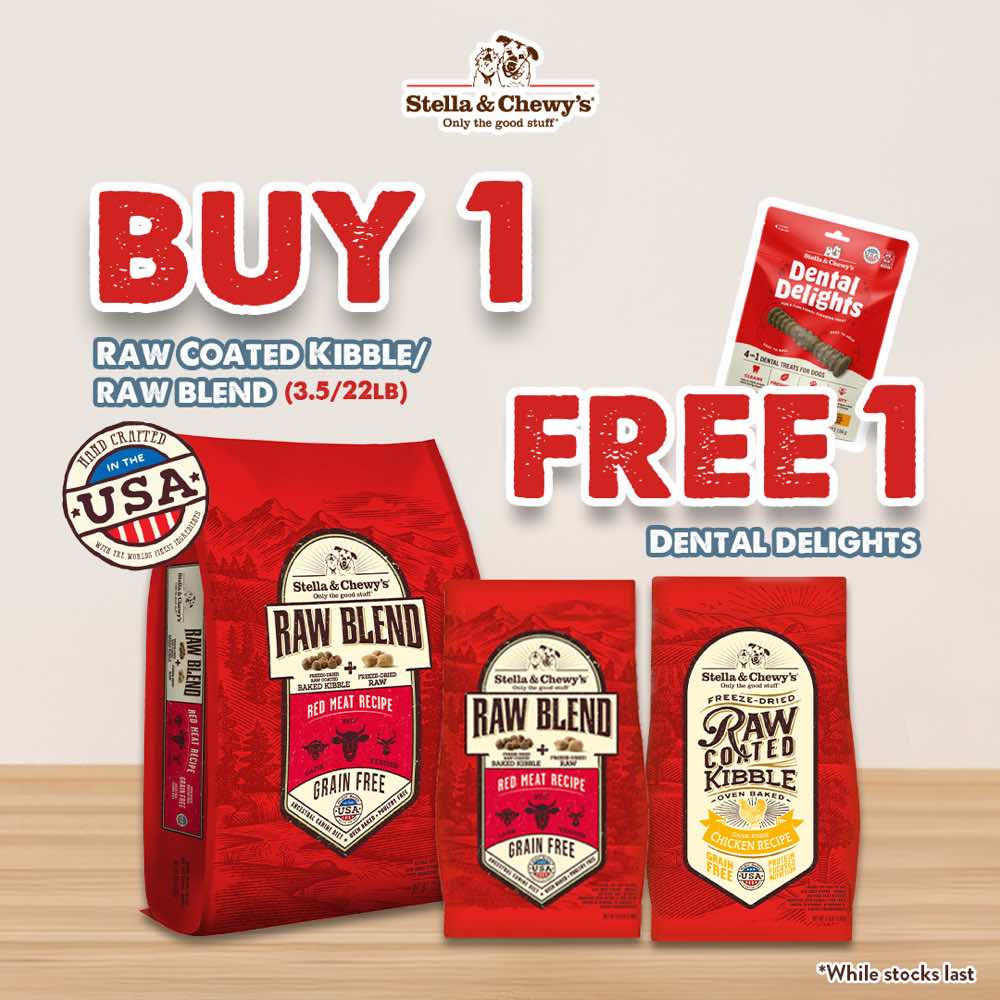 'FREE DENTAL TREATS': Stella & Chewy's Freeze-Dried Raw Coated Kibble Duck Grain-Free Dry Dog Food