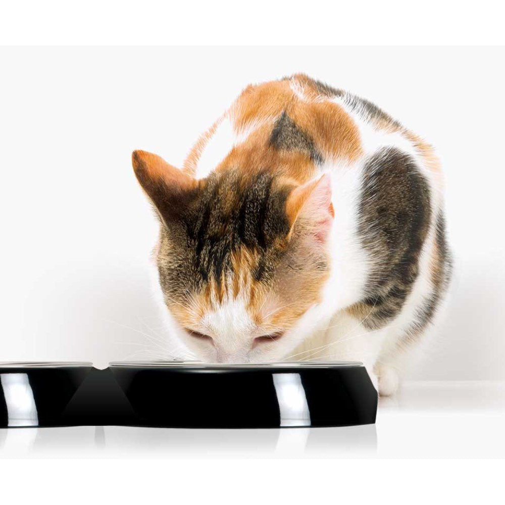 $4 OFF: Catit 2.0 Double Feeding Dish For Cats