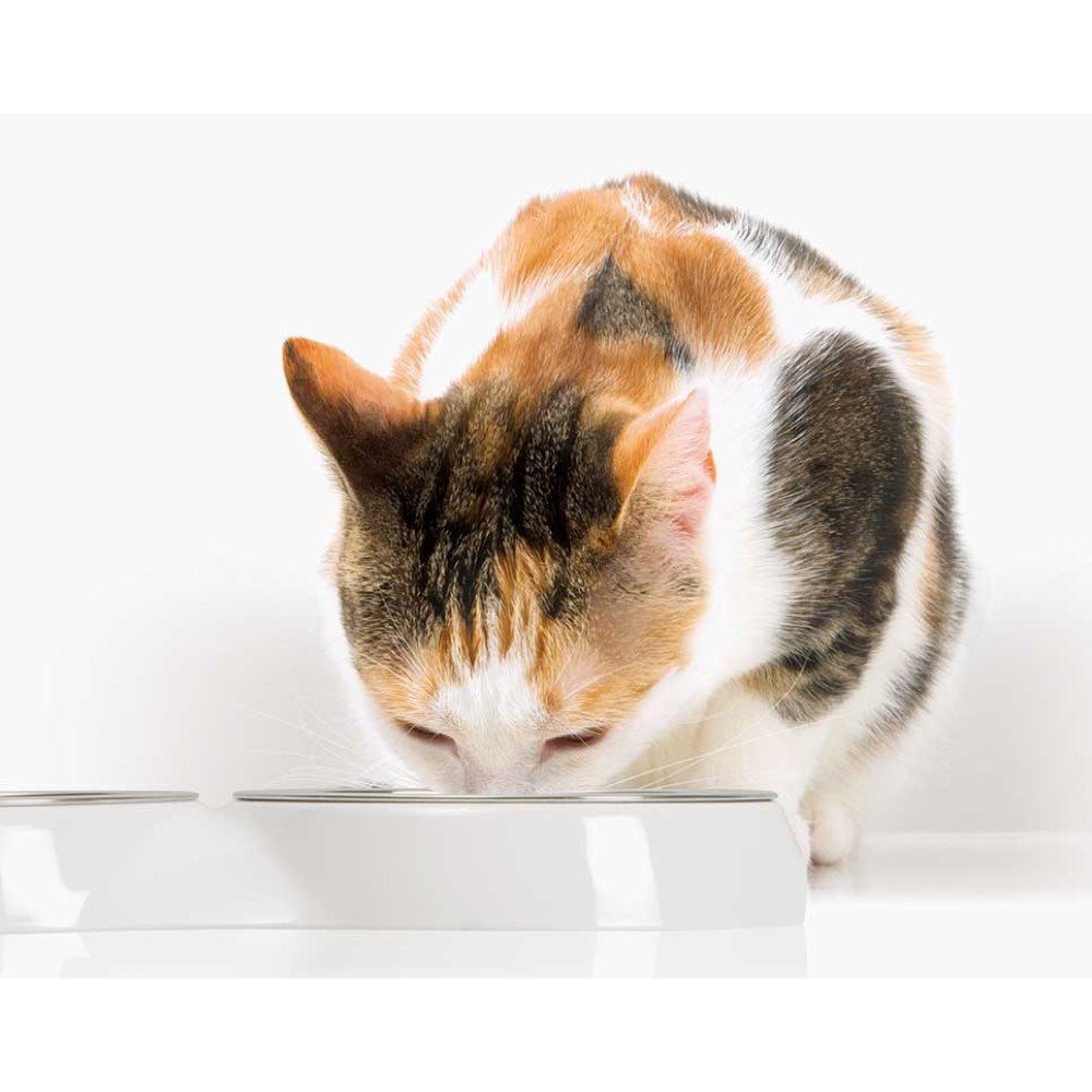 $4 OFF: Catit 2.0 Double Feeding Dish For Cats