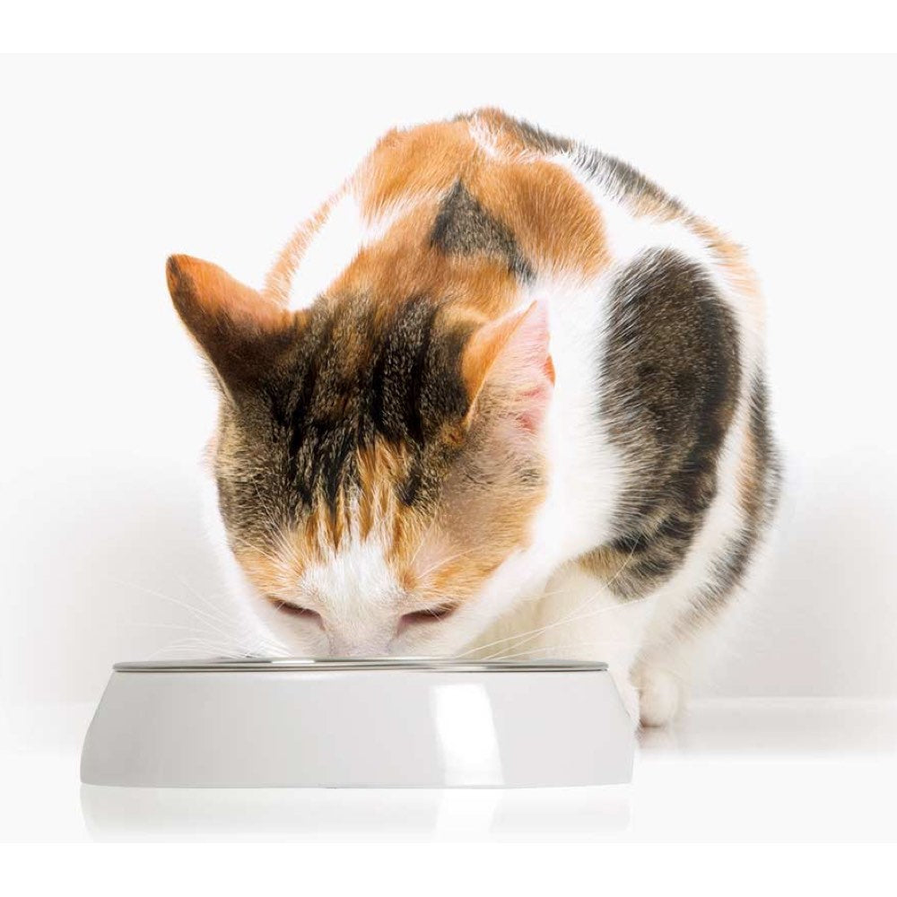 Catit 2.0 Single Feeding Dish For Cats