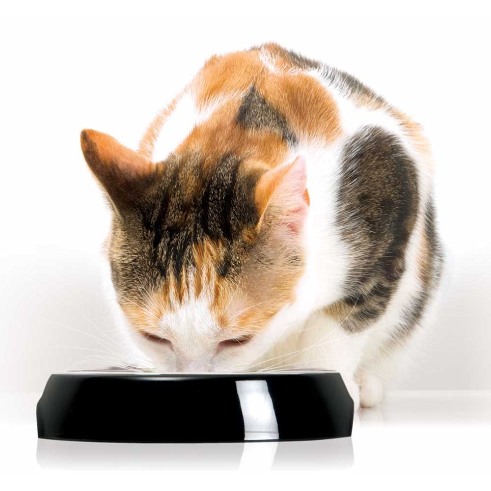 Catit 2.0 Single Feeding Dish For Cats