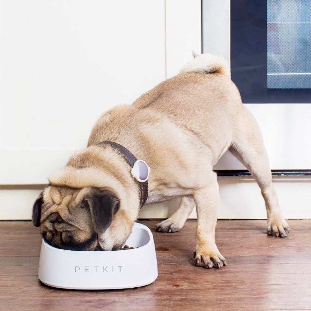 PETKIT Fresh Pet Smart Bowl