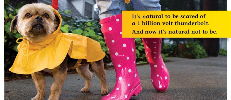 10% OFF: Rescue Remedy Bach Natural Stress Relief For Pets