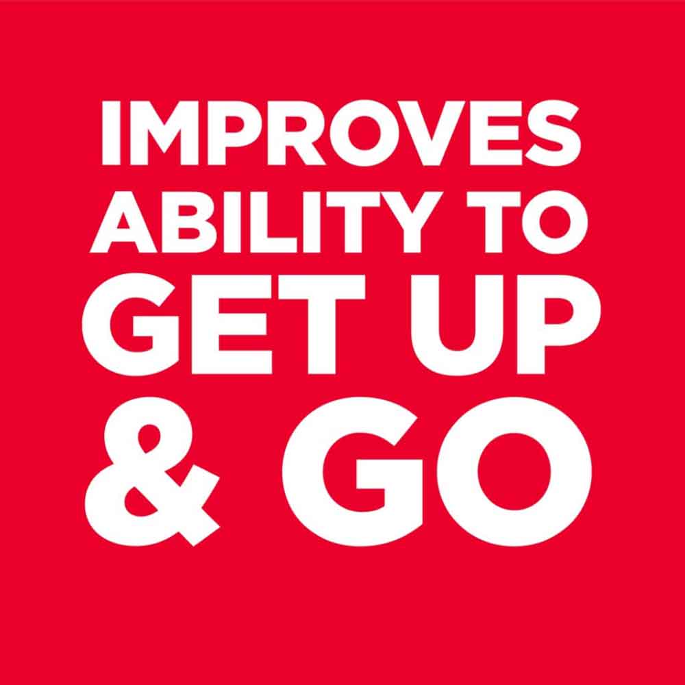 Science Diet Senior Vitality Adult 7+ Dry Dog Food