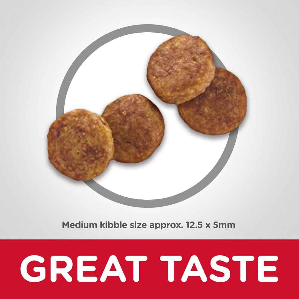 Science Diet Senior Vitality Adult 7+ Dry Dog Food