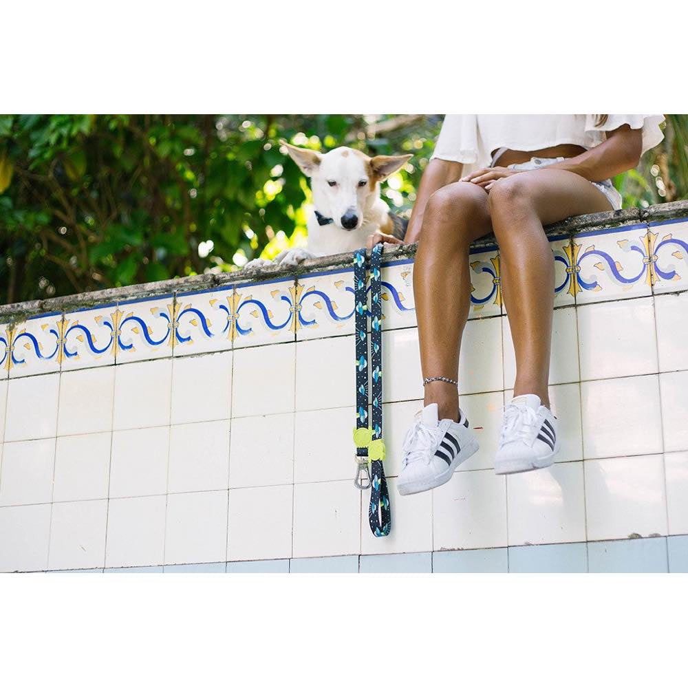 Zee.Dog Area 51 Dog Leash