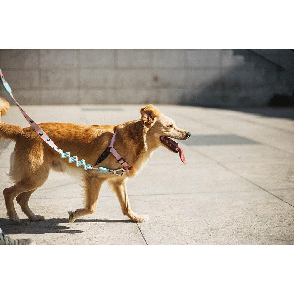 Zee.Dog Blink Soft-Walk Dog Harness