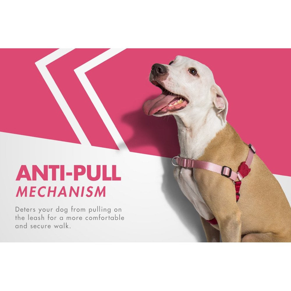 Zee.Dog Blink Soft-Walk Dog Harness