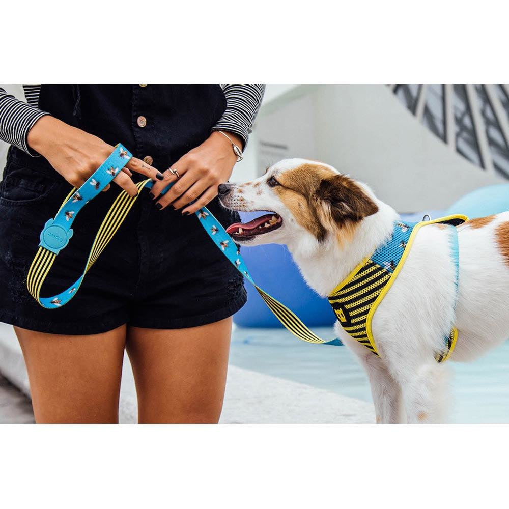 Zee.Dog Buzz Dog Leash