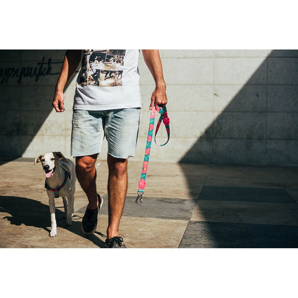 Zee.Dog Lazy Dog Leash