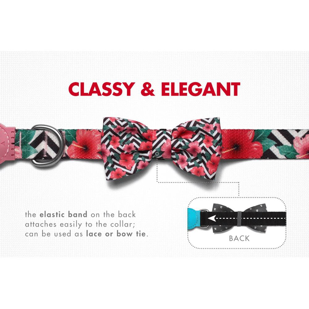 Zee.Dog Mahalo Bow Tie