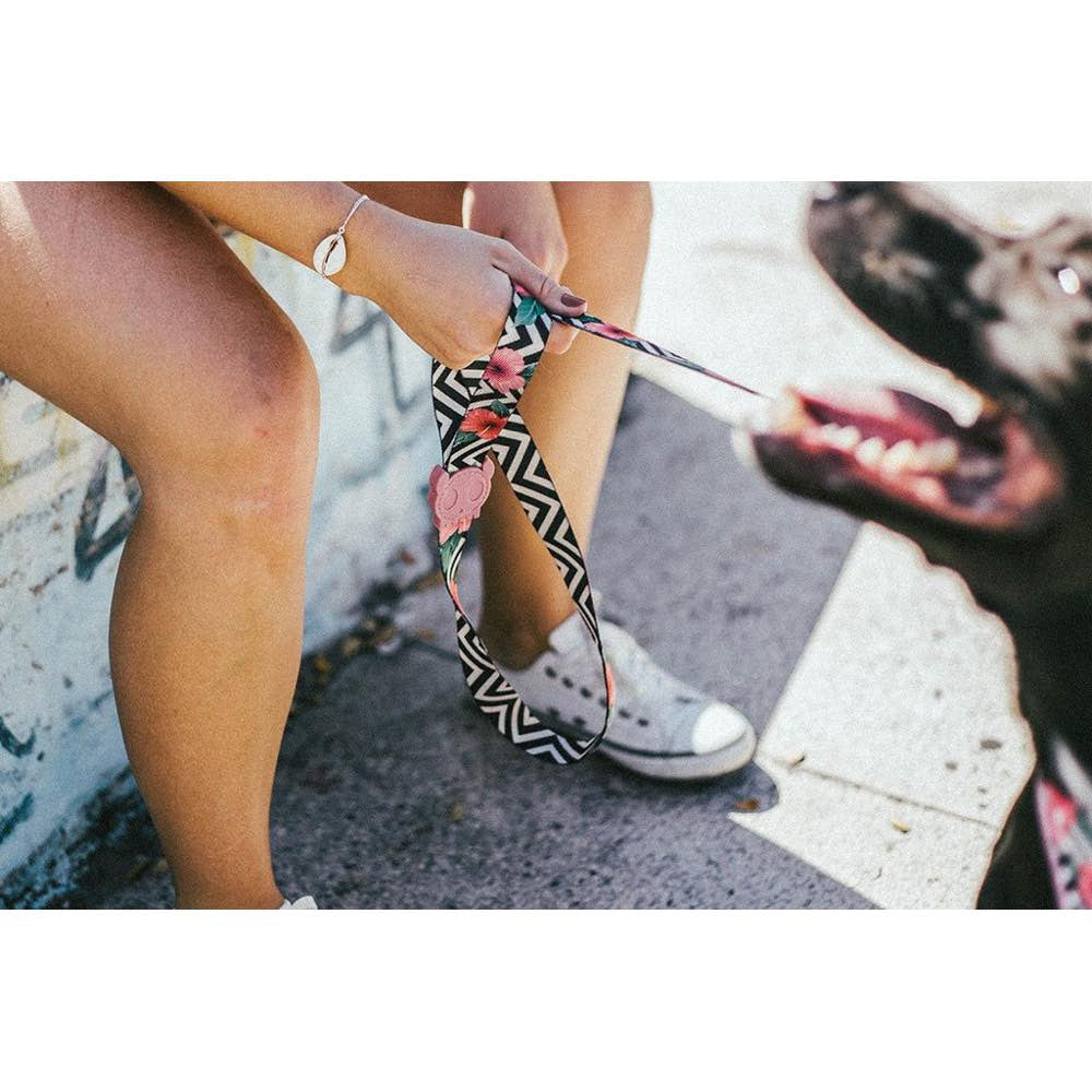 Zee.Dog Mahalo Dog Leash