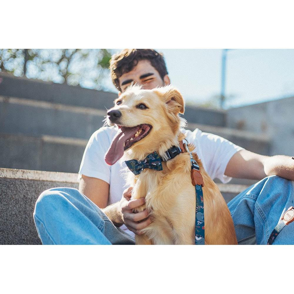 Zee.Dog Mango Bow Tie