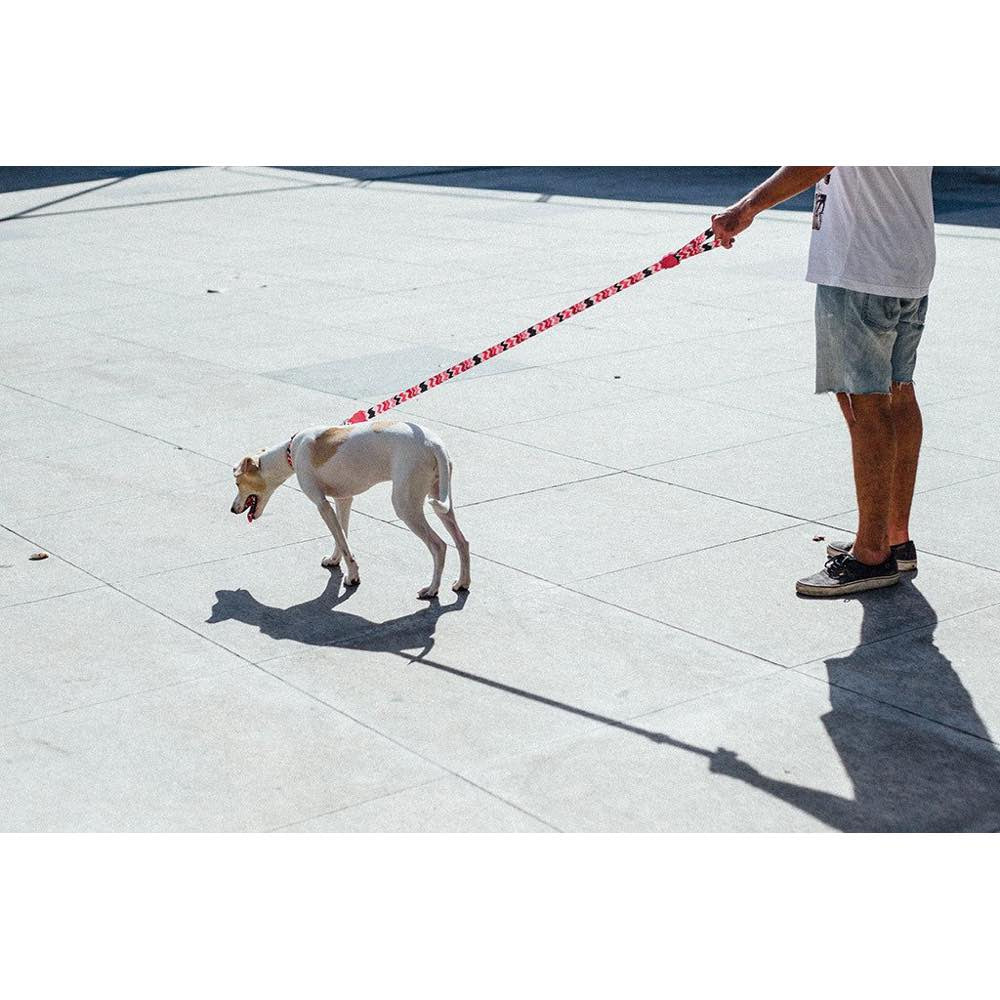 Zee.Dog Maui Dog Leash