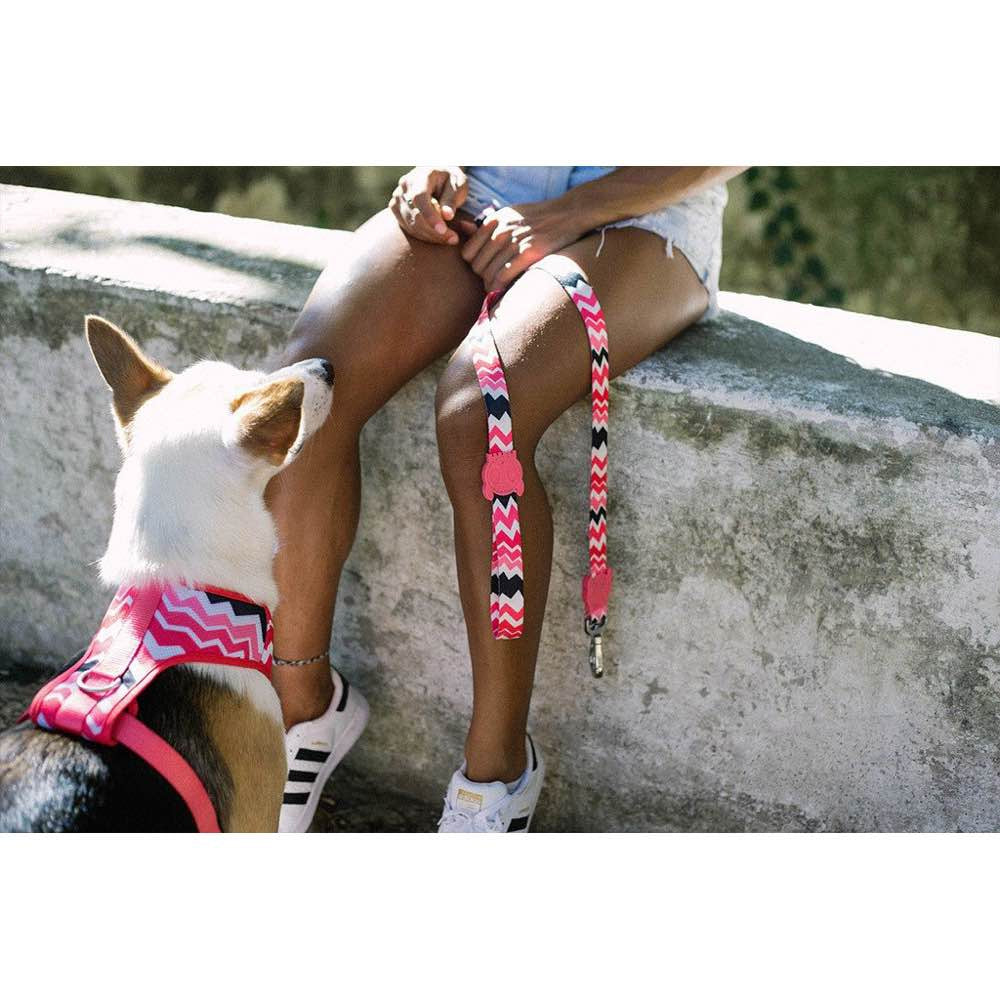 Zee.Dog Maui Dog Leash