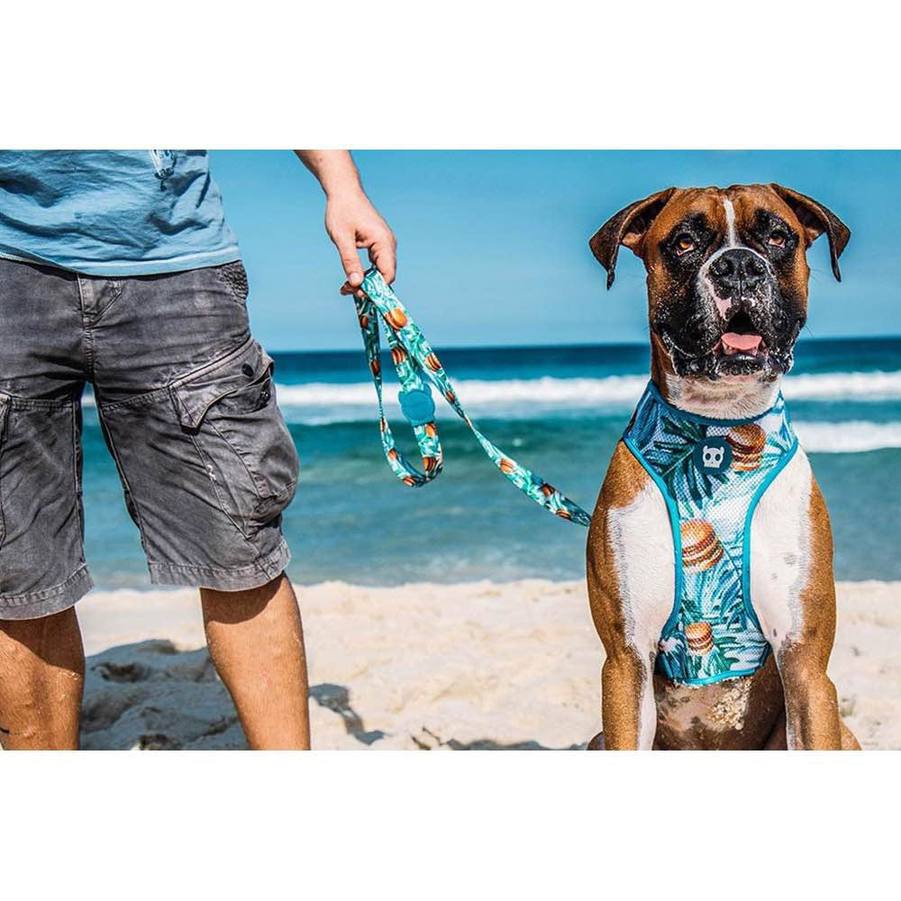 Zee.Dog Mczee Dog Leash