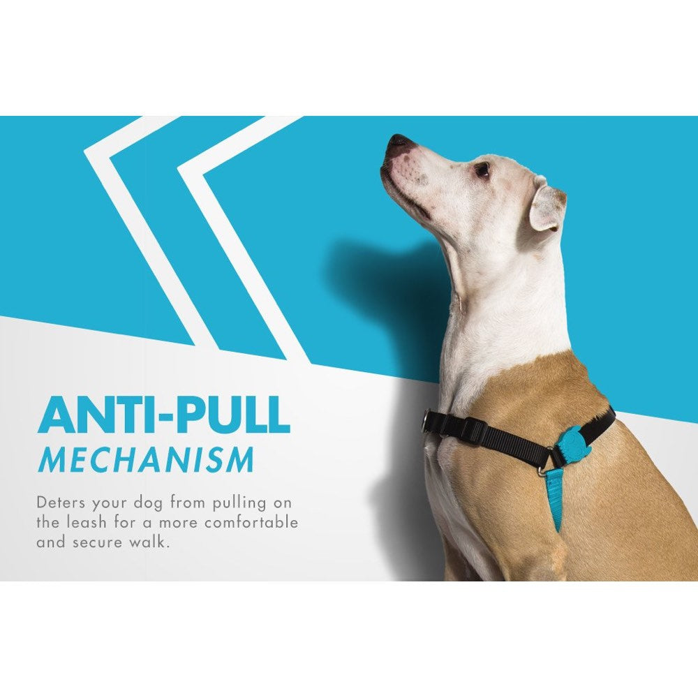 Zee.Dog Monoby Soft-Walk Dog Harness