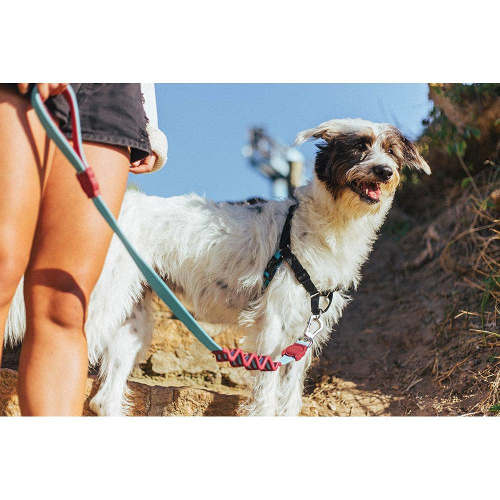 Zee.Dog Monoby Soft-Walk Dog Harness