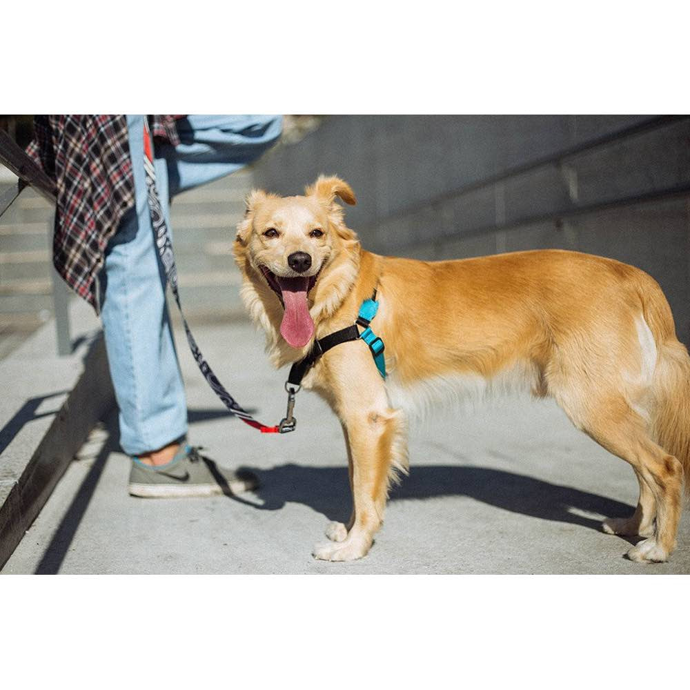 Zee.Dog Monoby Soft-Walk Dog Harness