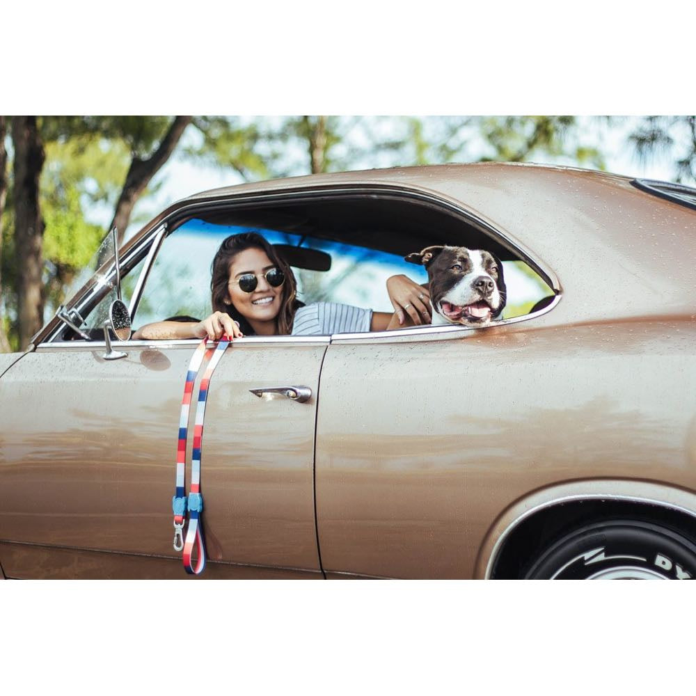 Zee.Dog Oregon Dog Leash