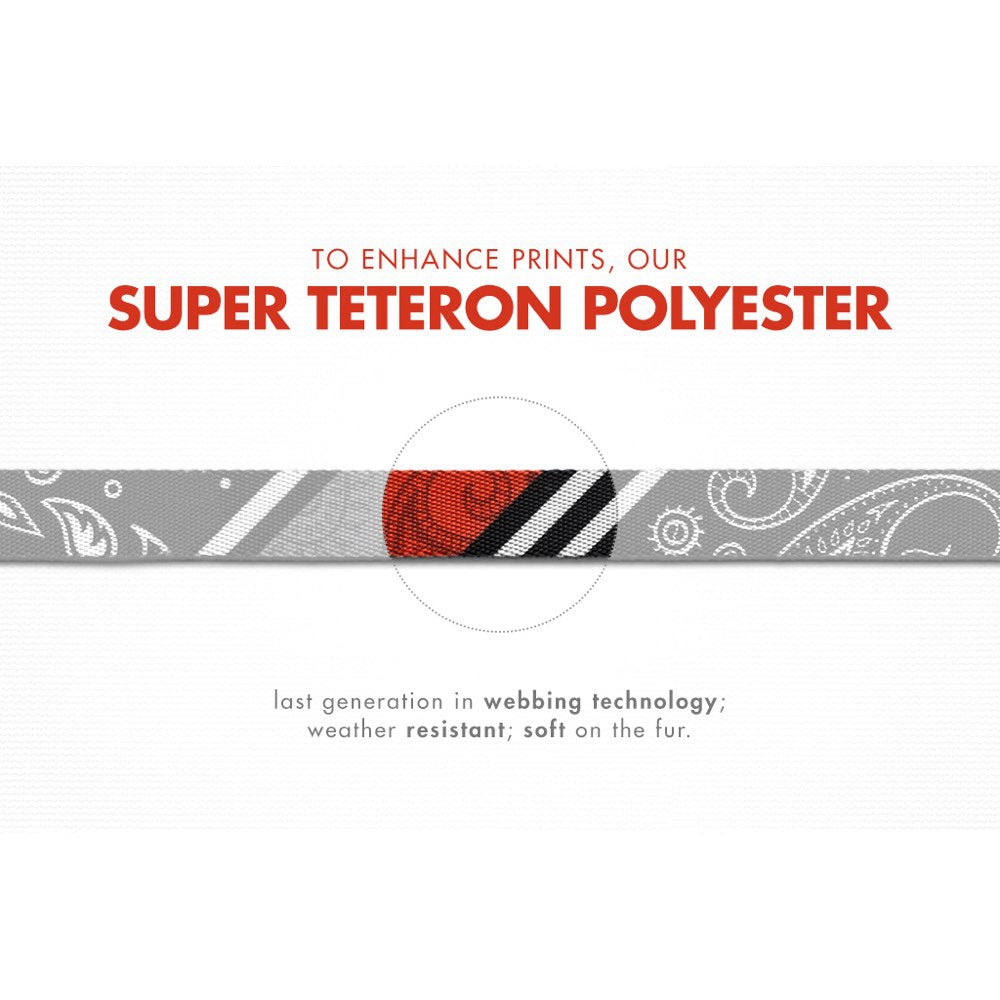 Zee.Dog Paisley Dog Leash