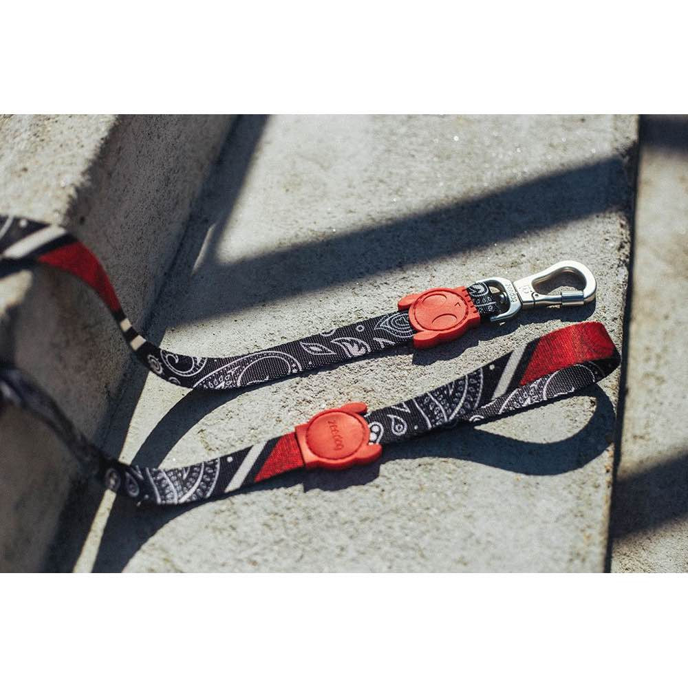 Zee.Dog Paisley Dog Leash