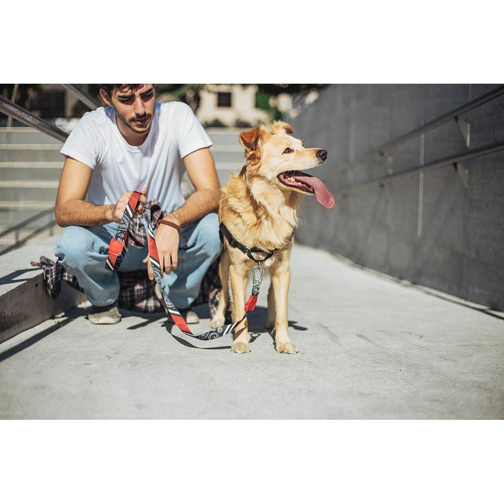 Zee.Dog Paisley Dog Leash