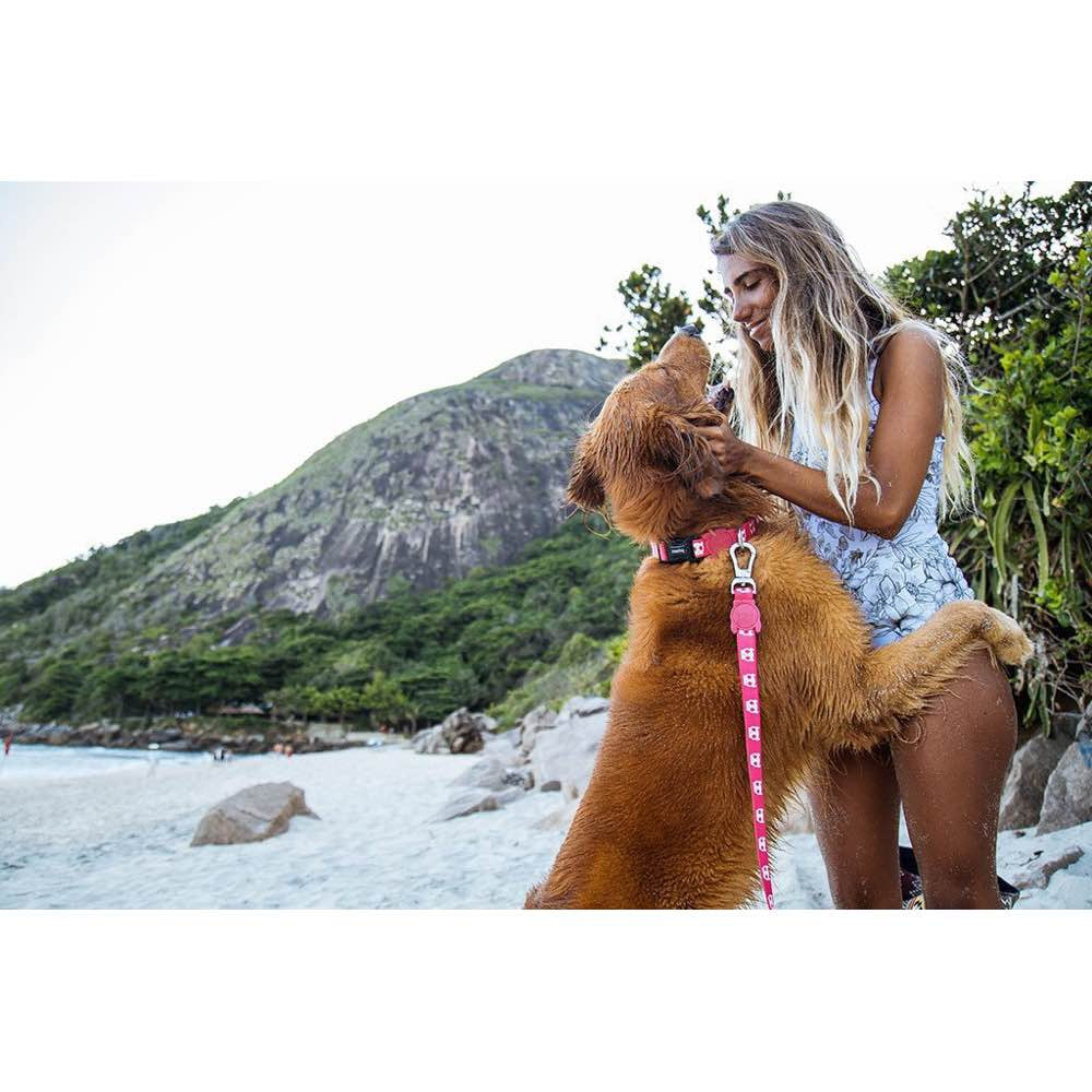 Zee.Dog Pink Skull Dog Leash