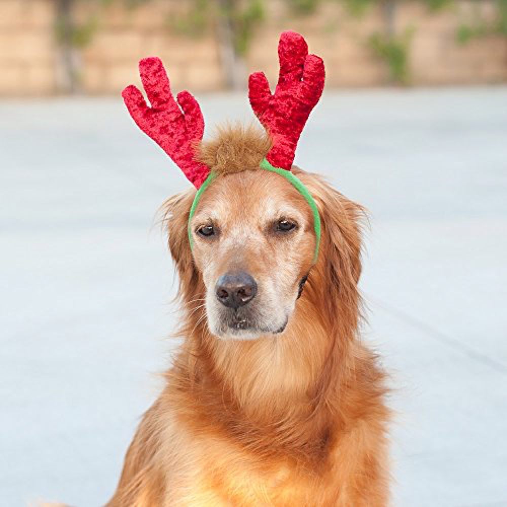 ZippyPaws Holiday LED Antler Headband