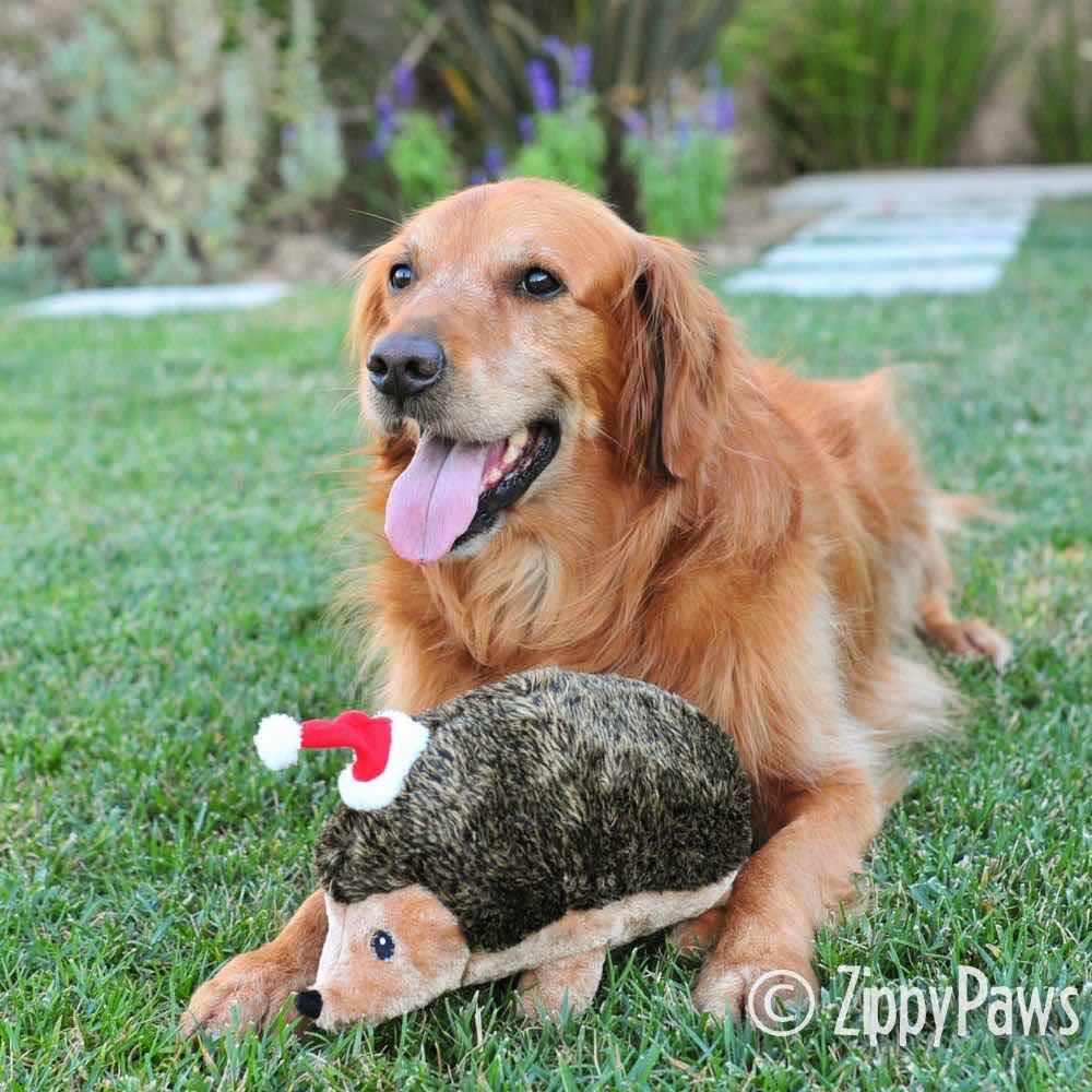 ZippyPaws Holiday Hedgehog Dog Toy